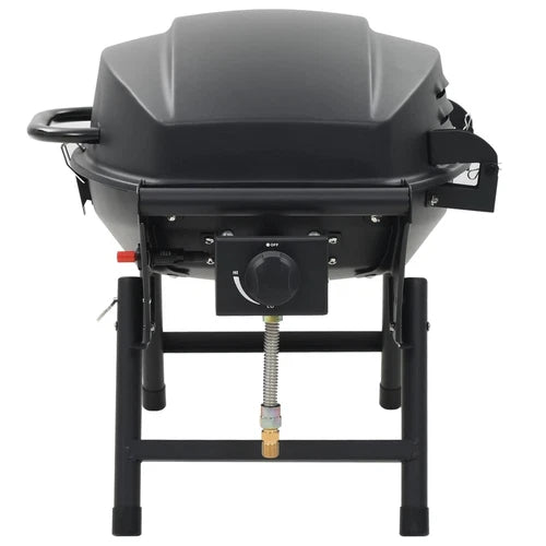 Barbecue à Gaz Portatif 2 Zone de Cuisson Noir Terrasse Grill de Jardin